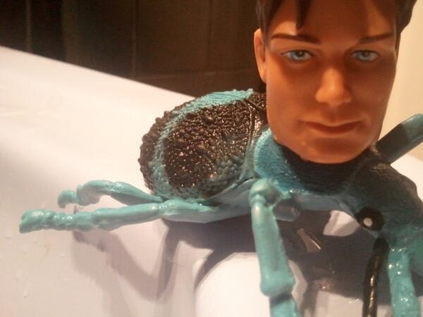 Foto y montaje: Andrés Hax (5/5/2013